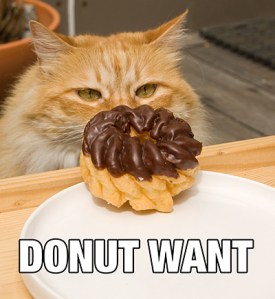 donut want