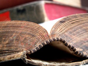 old book spine
