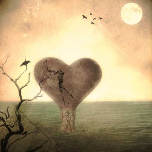 scarred heart by delphine devos