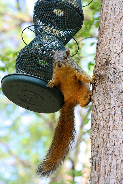 Do U have Challenges or Opportunities? Words&nbsp;Matter