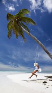 662725bcf3cb163480fb45ff982cf7bc