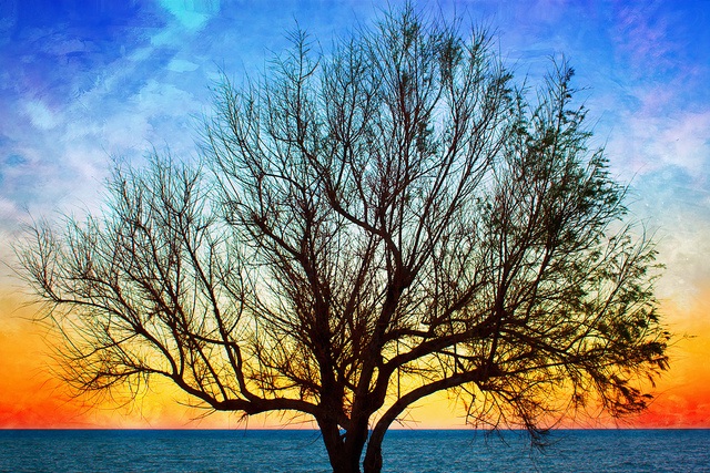 Shift Your Life & Perspective with One Simple&nbsp;Exercise