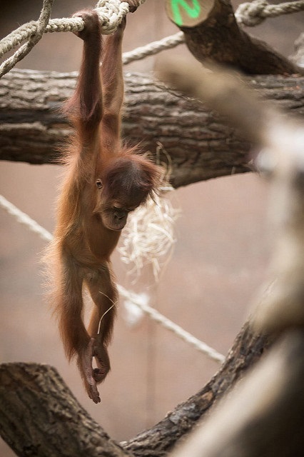 What r u hanging on to and can u let it&nbsp;go?